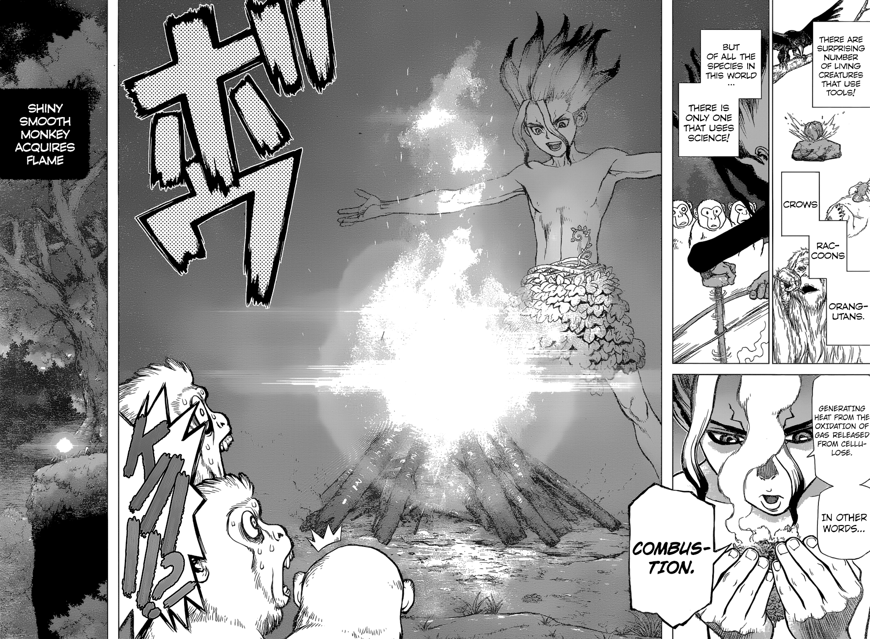 Dr. Stone Chapter 13 16